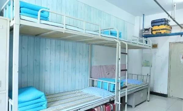 保定技能学习攻略，入门到精通全解析