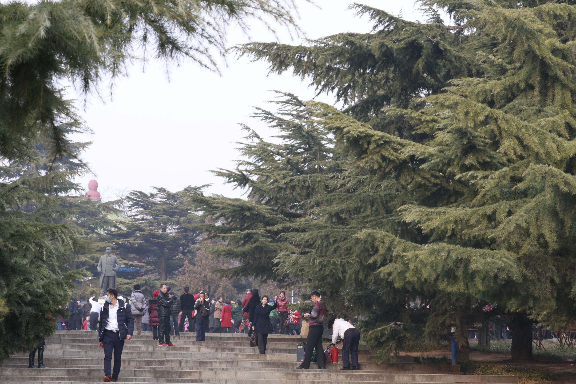 大连,城市的崛起与辉煌之路